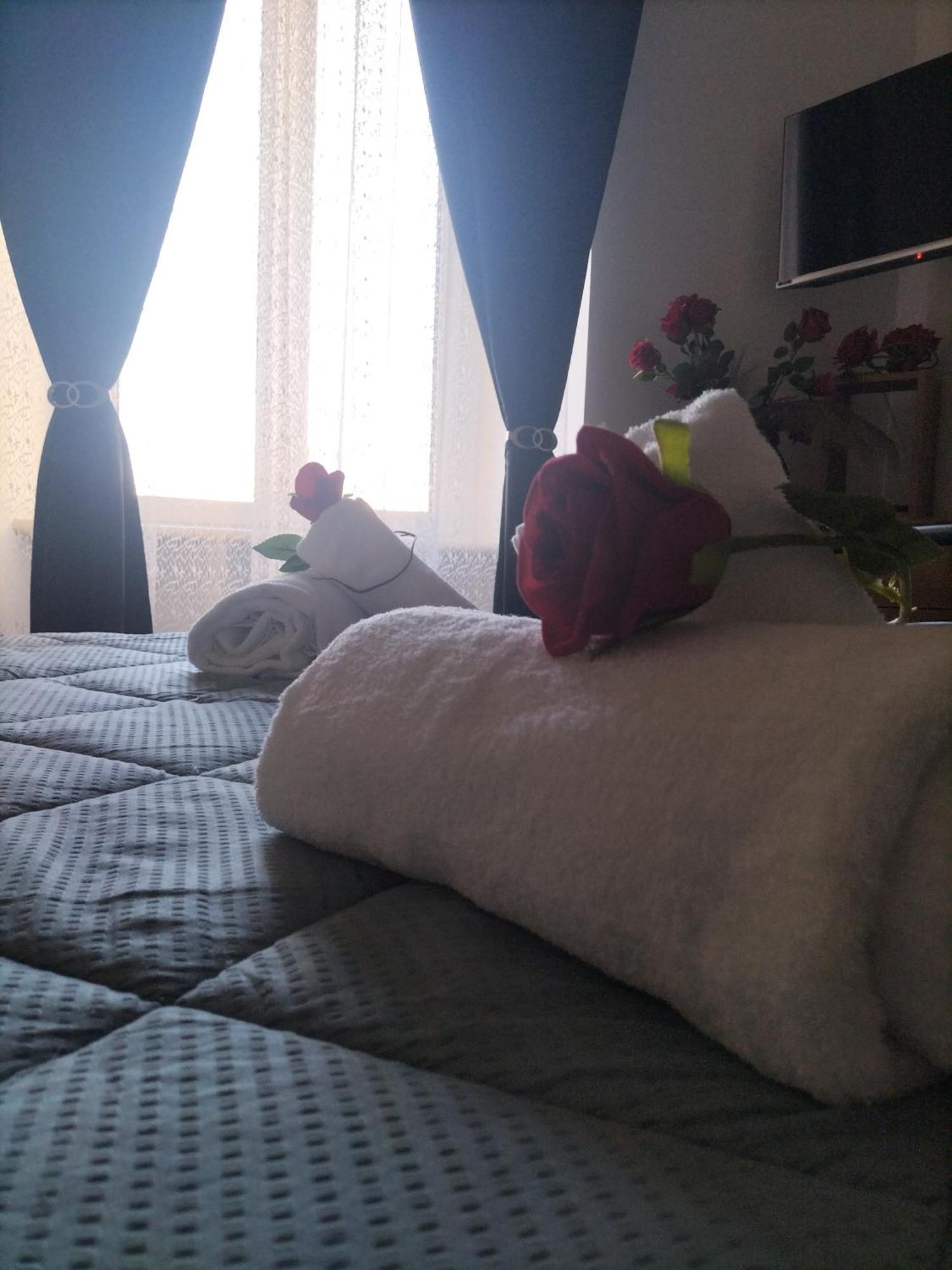 Apartment Red Roses Domus Rome