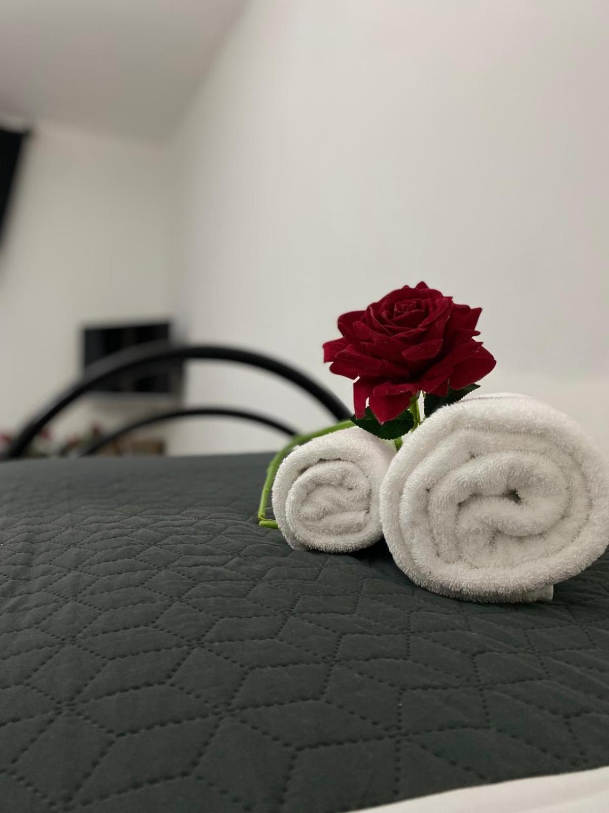 Red Roses Domus Apartment