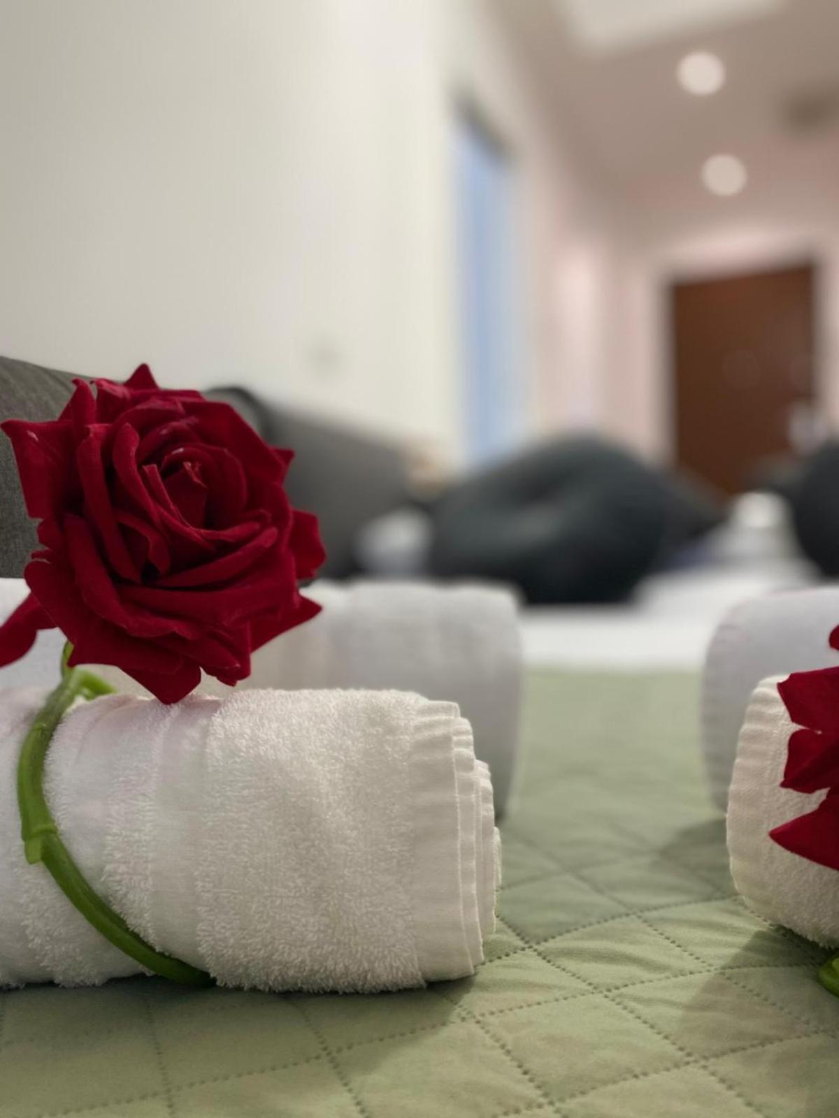 Red Roses Domus Apartment *